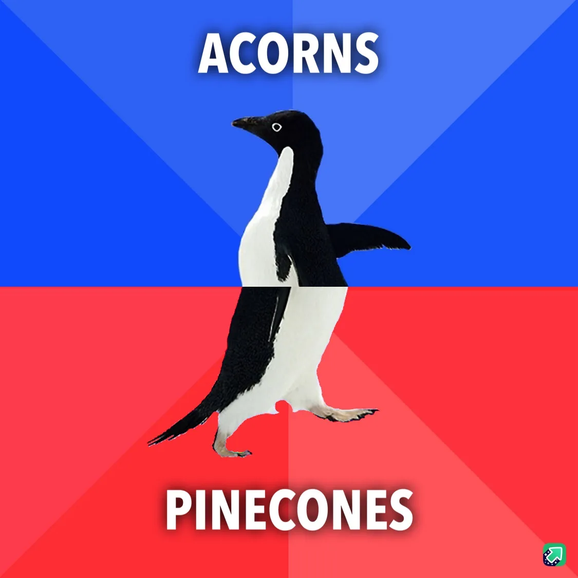 A penguin is split vertically down the middle, with the top half against a blue background labeled 'ACORNS' and the bottom…