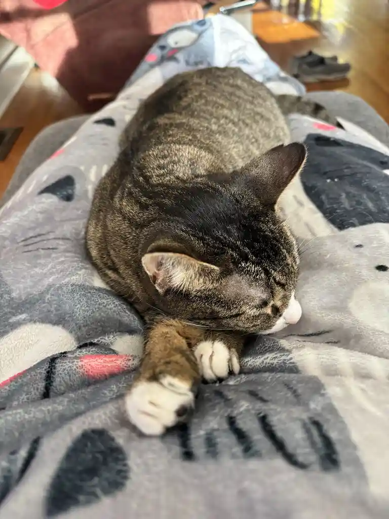 This is just too sweet to handle!