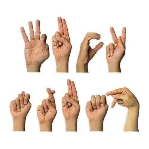 Eight images of hands against a white background, each showing a different finger gesture. The top row displays four…