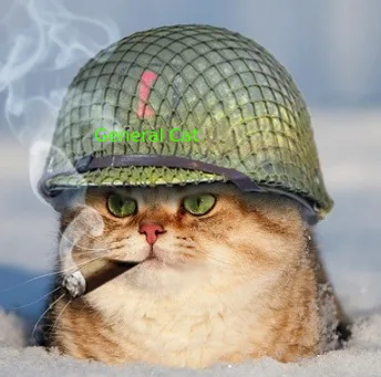 A fluffy orange tabby cat is partially buried in snow, wearing a green military helmet with a red 'I' insignia and smoking a…