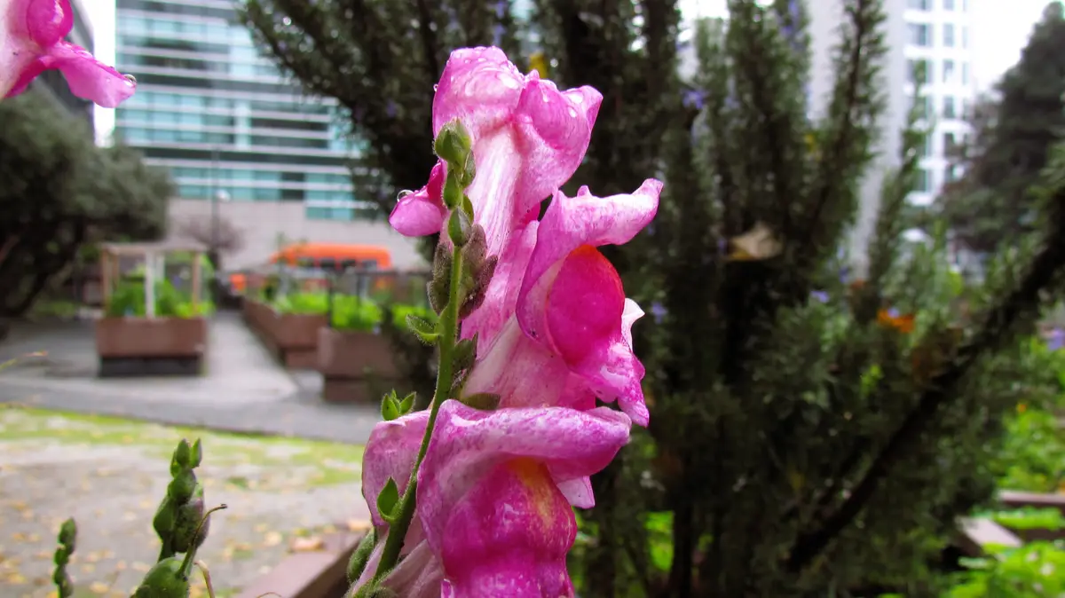 Capturing Some Beautiful Morning Macro Shots