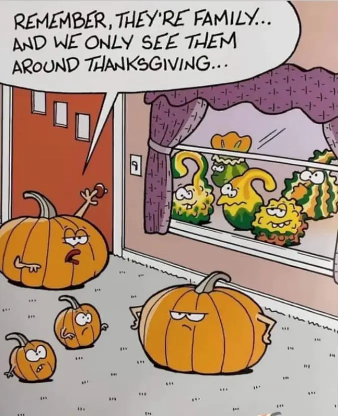 The Punkin Head Chronicles
