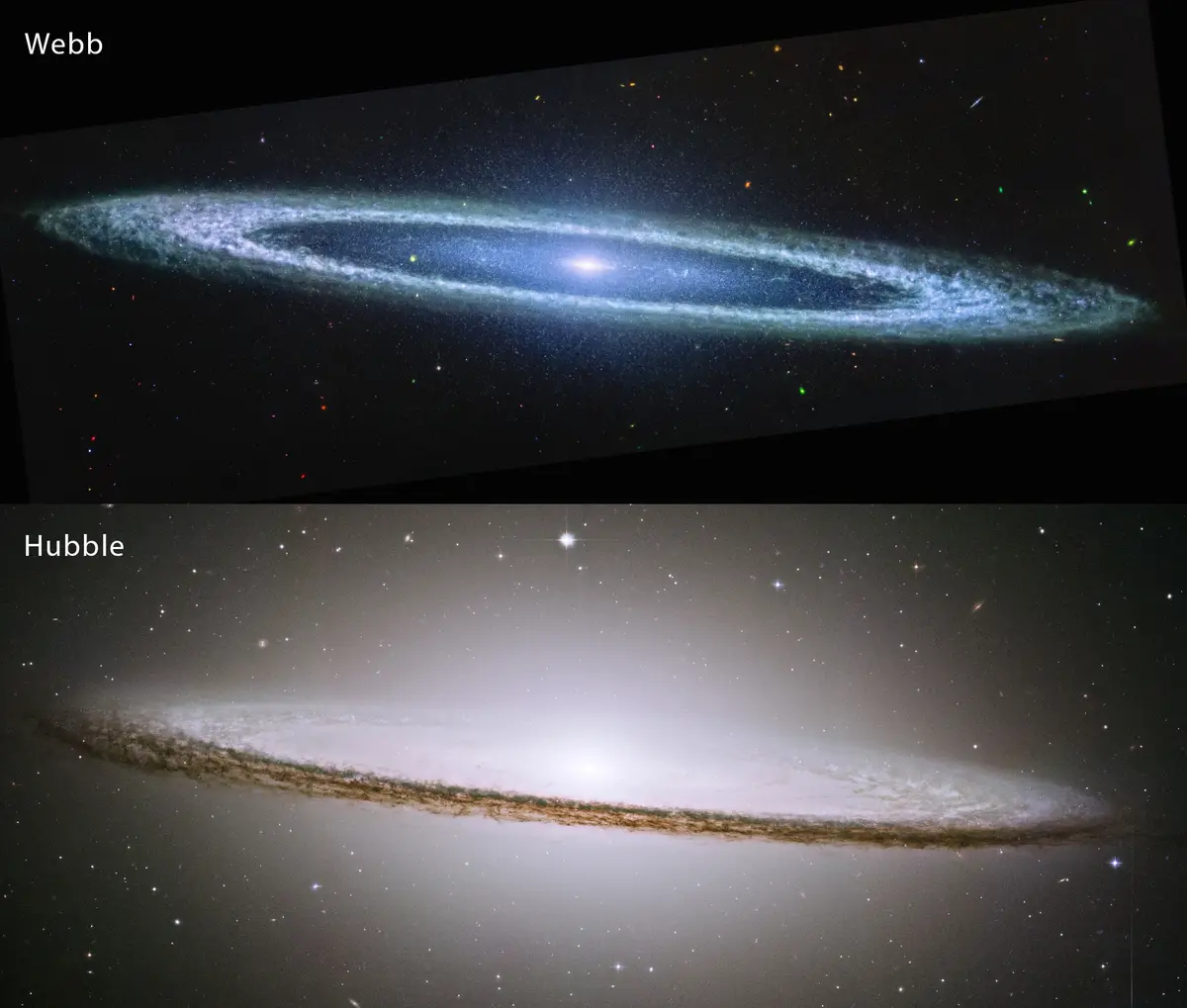 The image displays two side-by-side astronomical photographs of the same spiral galaxy, labeled 'Webb' on top and 'Hubble'…