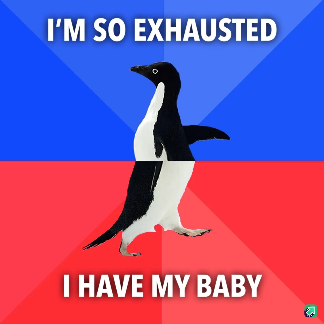 A black-and-white penguin stands centered against a split background of blue and red, with the text 'I'M SO EXHAUSTED' at…