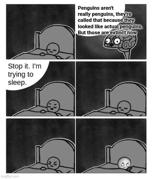 A four-panel black-and-white comic strip shows a person in bed trying to sleep while their brain, depicted as a cartoon…