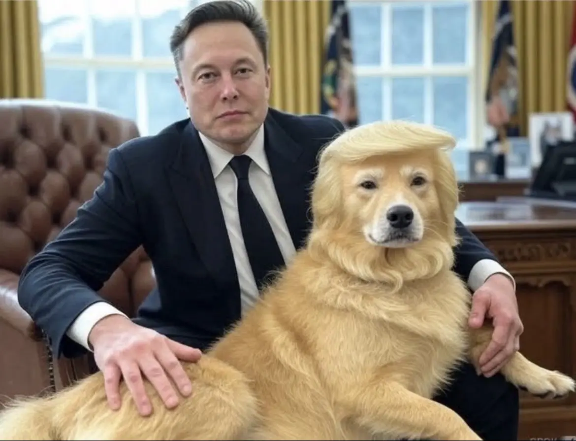 elton john sits in an office chair next to a golden retriever wearing a blonde wig resembling donald trump's hairstyle…