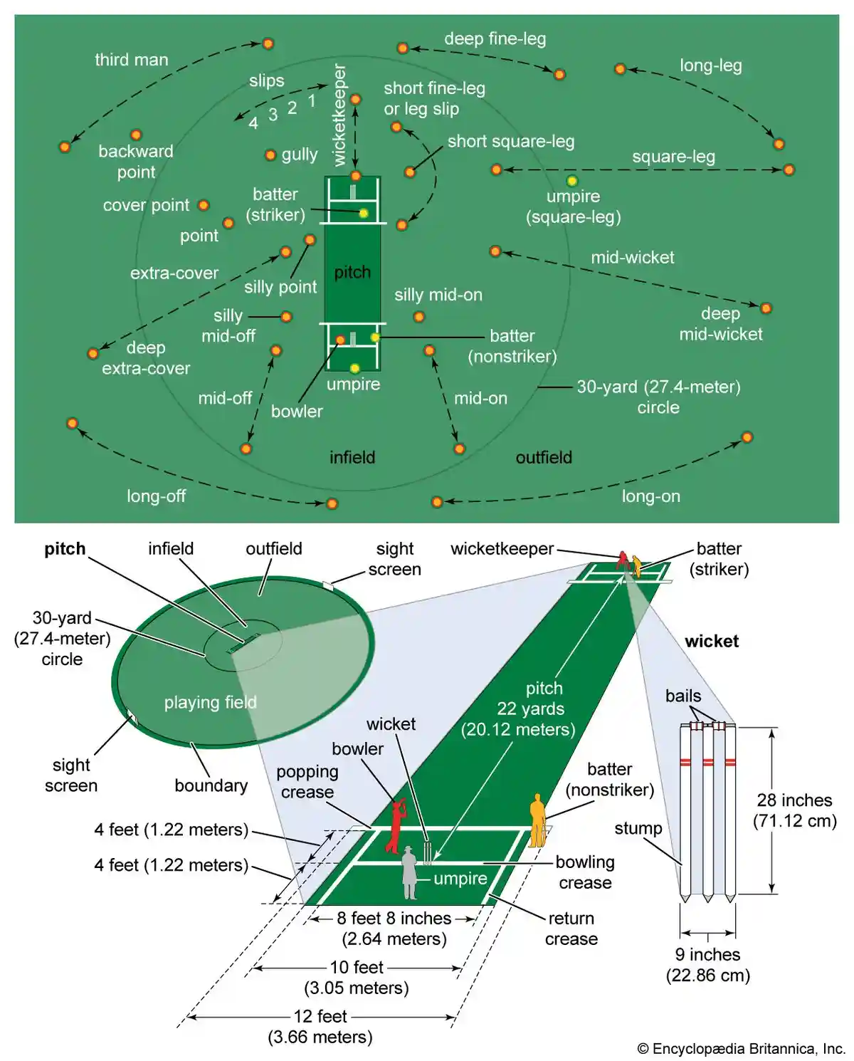 Understanding the Layout: Wickets and Fielding Positions in Cricket