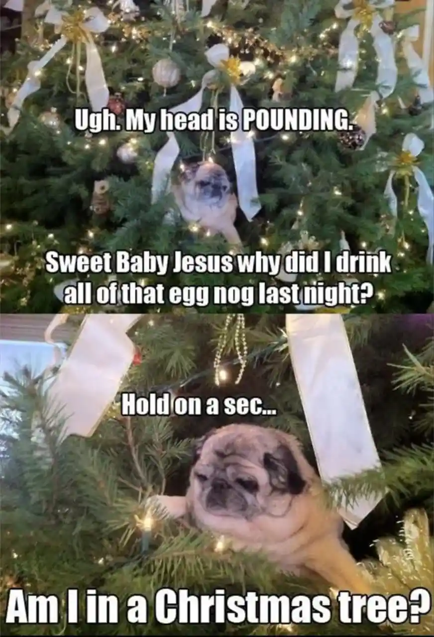 We've All Had That Moment, Right?