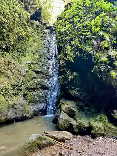 A narrow, moss-covered canyon features a small waterfall cascading down rocky cliffs into a shallow pool below. The…