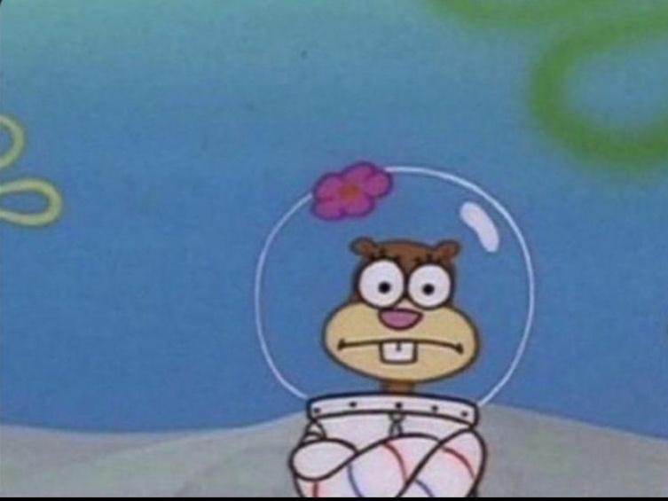 a cartoon squirrel wearing a clear bubble helmet with a pink flower on top, standing in a white and red striped outfit…