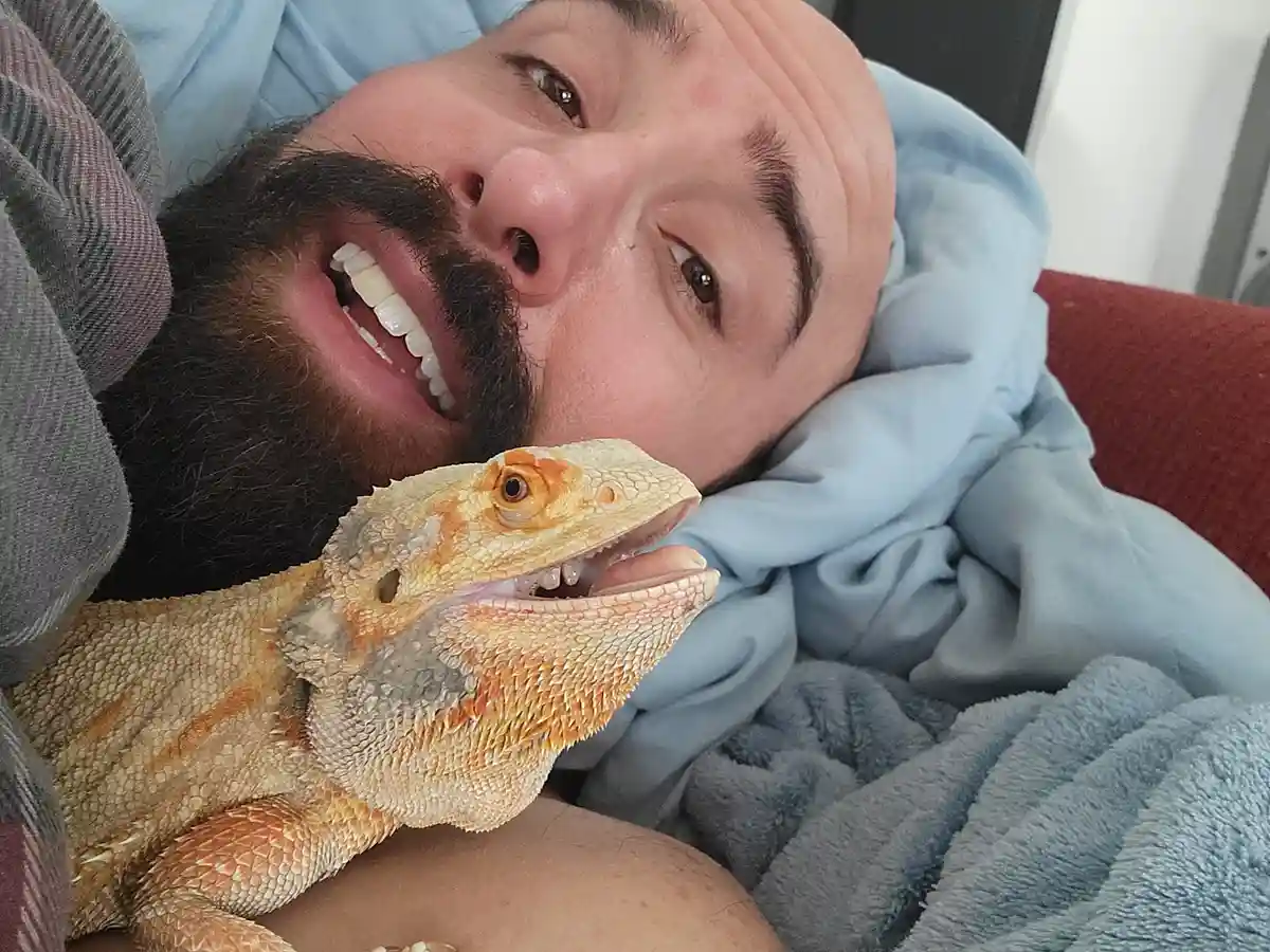 A man with a beard and mustache lies on a couch under blankets, smiling widely at the camera while a bearded dragon rests on…