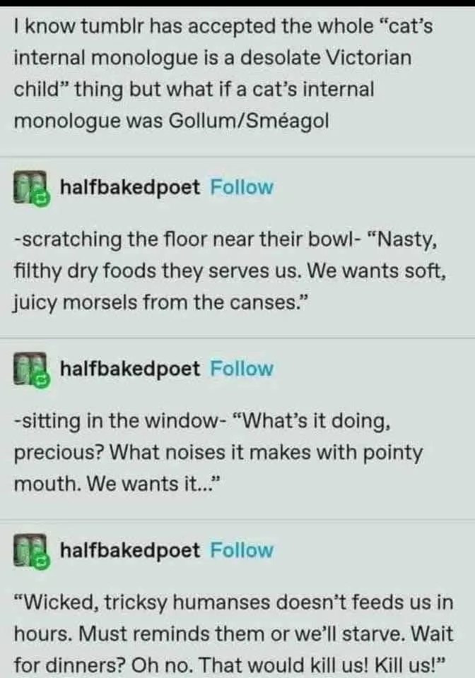 A screenshot of a Tumblr post by 'halfbakedpoet' imagining a cat's internal monologue as Gollum from Lord of the Rings, with…