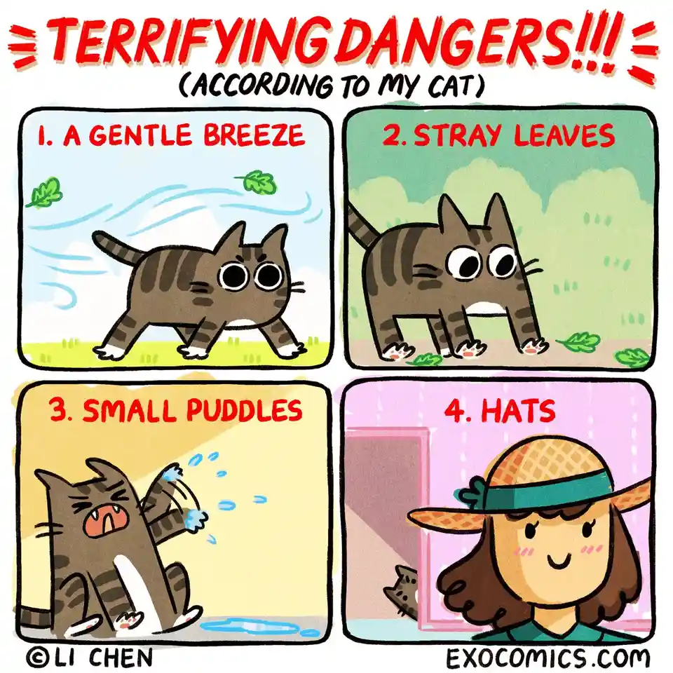 A four-panel comic titled 'TERRIFYING DANGERS!!! (ACCORDING TO MY CAT)' shows a cartoon cat reacting with escalating terror…