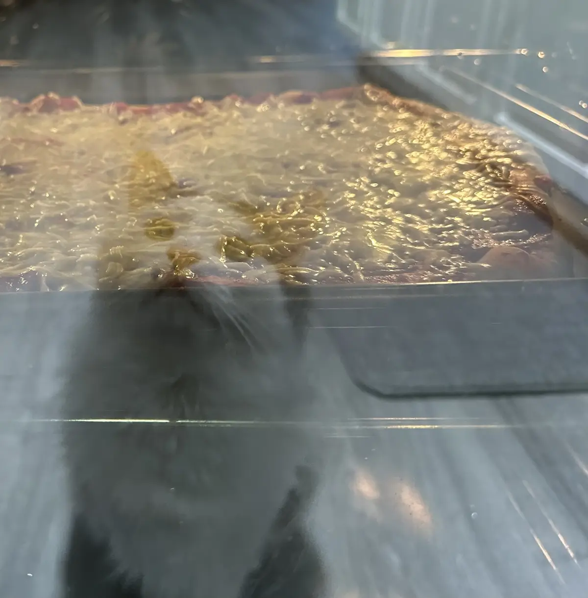 Who Doesn't Love Pizza? Everyone Does!