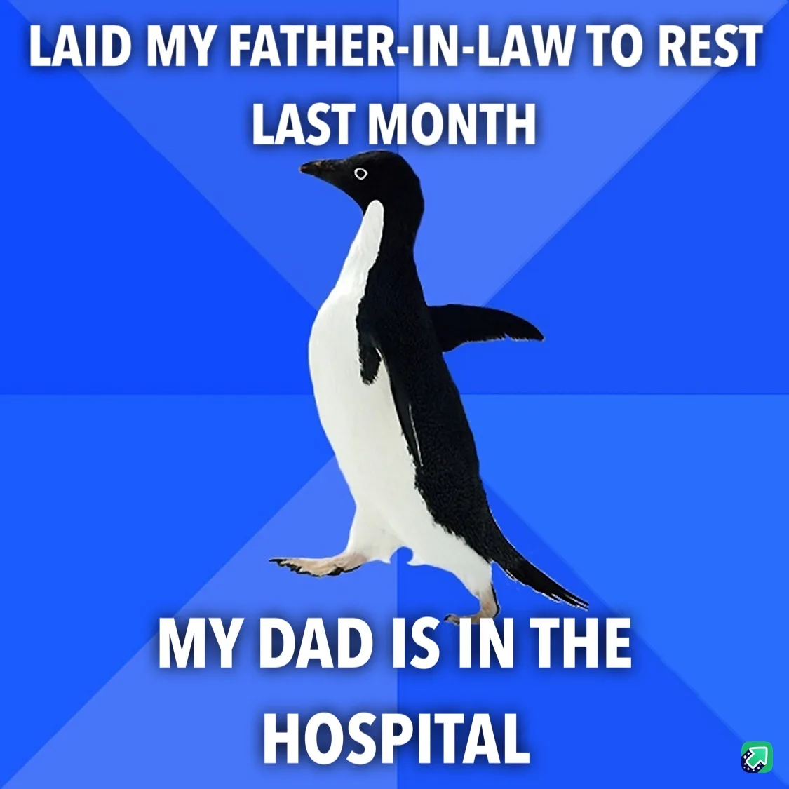 A black-and-white penguin stands against a blue geometric background. White bold text at the top reads 'LAID MY…