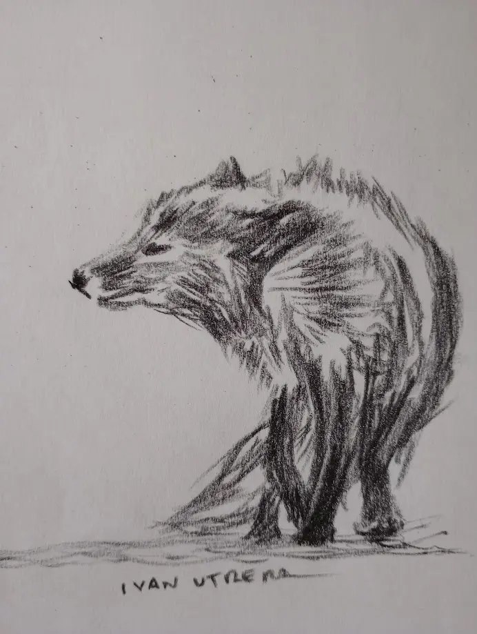 A rough charcoal sketch of a wolf standing in profile, looking left, with visible artist signature 'IVAN UTLEMA' at the…