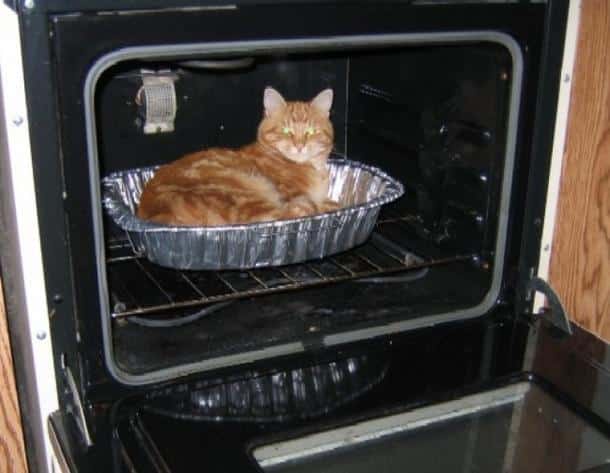 An orange tabby cat sits calmly inside an open oven, resting in a disposable aluminum pie pan placed on the oven rack. The…