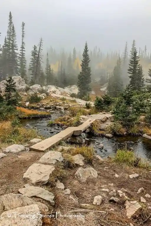 A misty mountain trail features a simple wooden plank bridge crossing a small stream, surrounded by evergreen trees and…