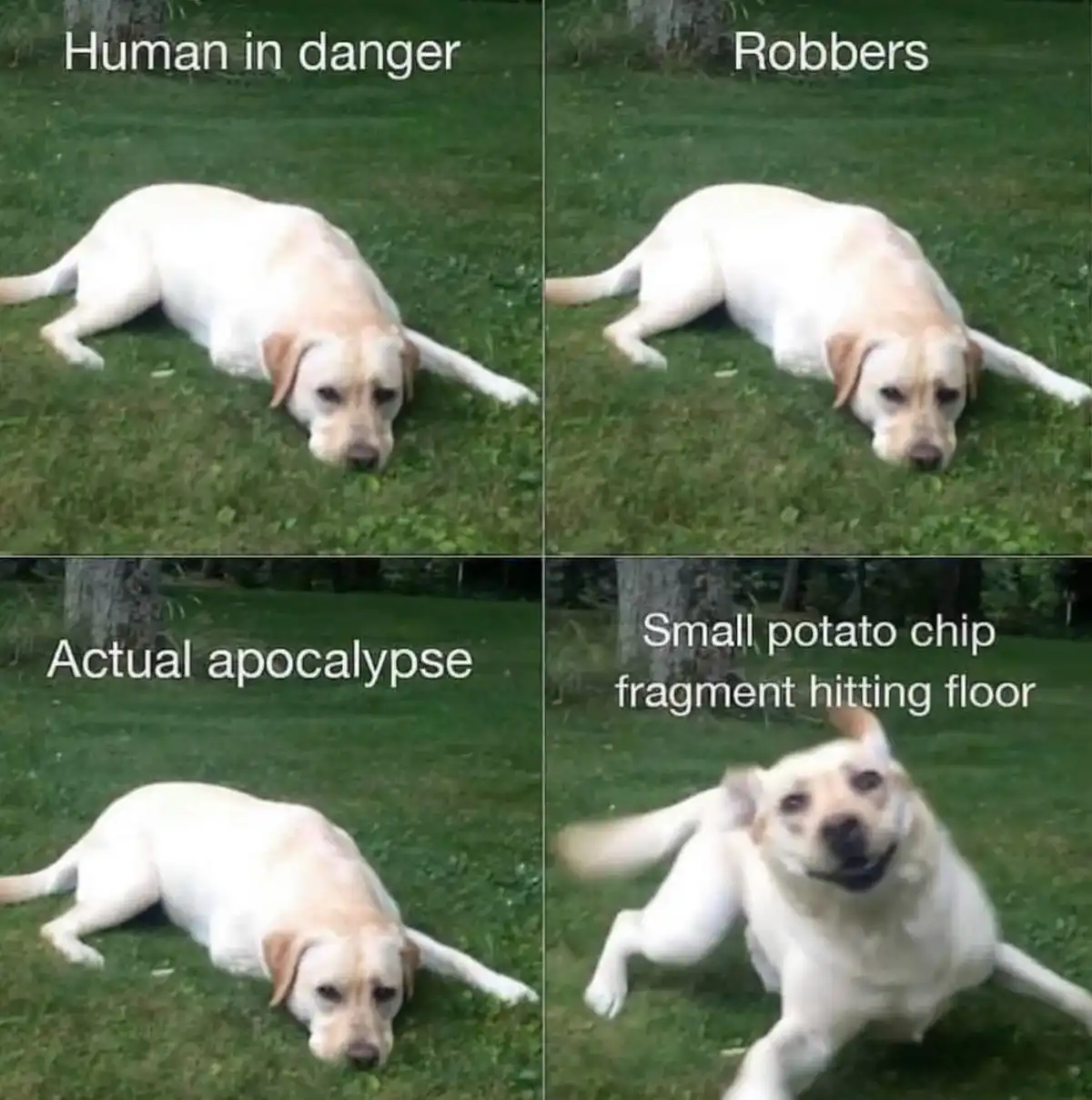 Absolutely True Facts!