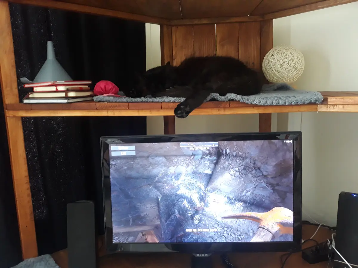 A black cat sleeps soundly on a wooden shelf above a computer monitor displaying a mining game where the on-screen text…