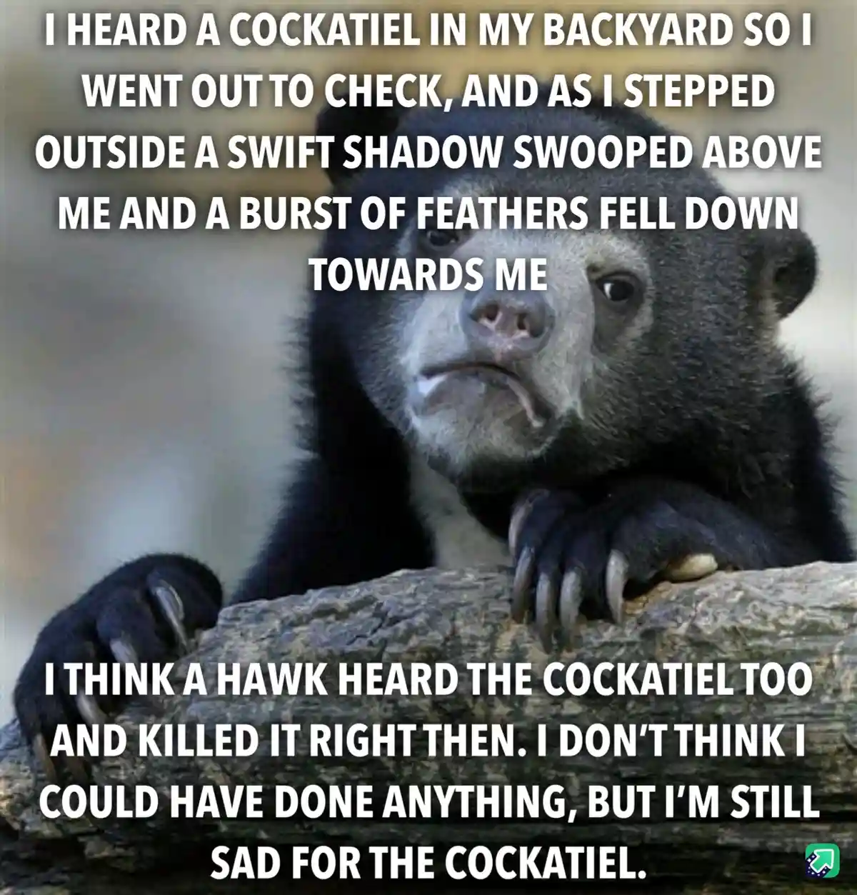 A close-up photo of a sad-looking, dark-furred animal with a downturned mouth and large eyes, resting its paws on a log…