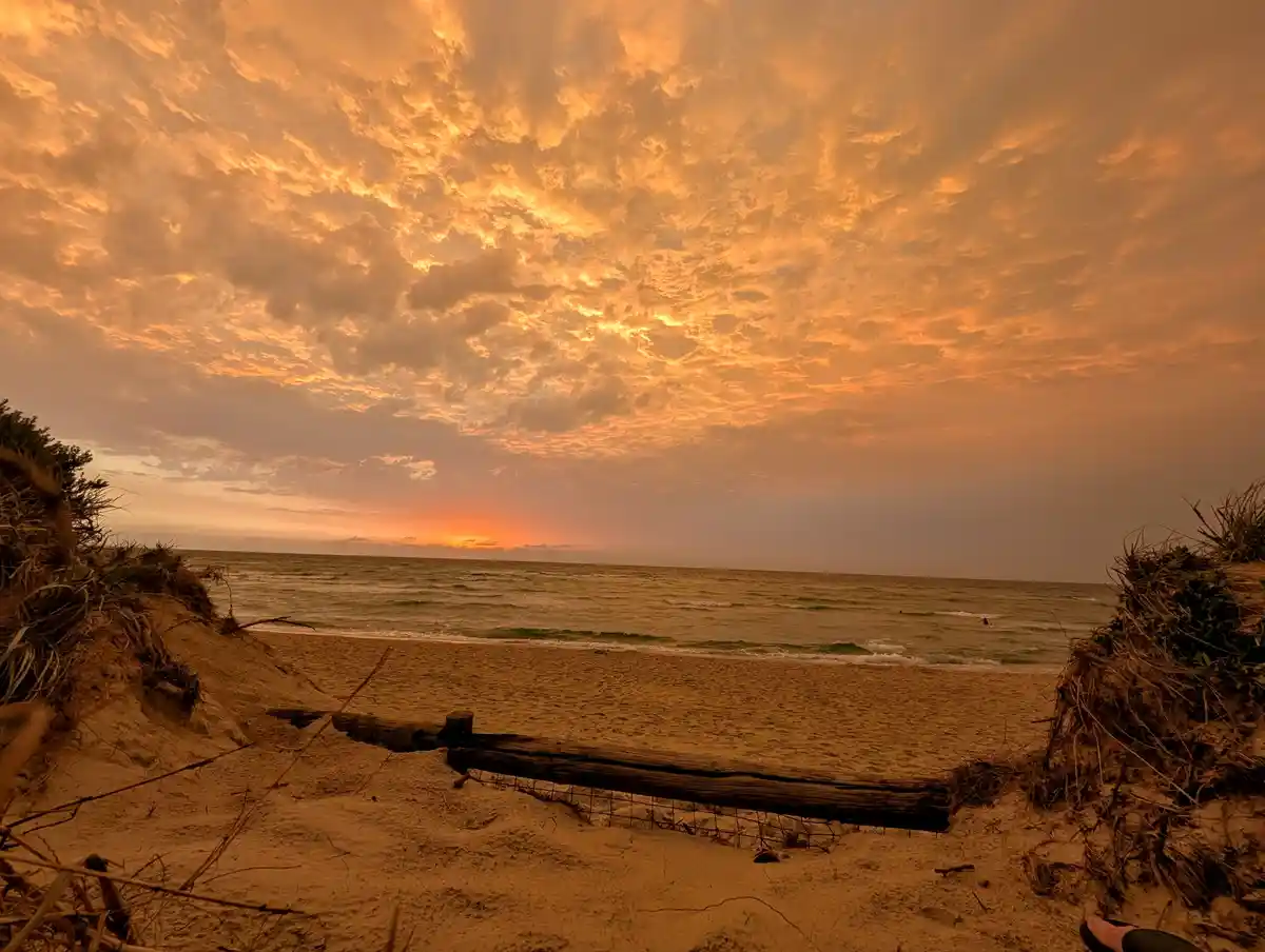 A scenic beach sunset with orange and yellow clouds over the ocean, viewed from a sandy dune with driftwood and vegetation…