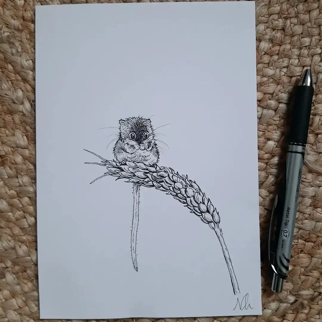 A black-and-white pencil drawing on white paper shows a small, detailed hamster sitting atop a wheat stalk, with a black pen…