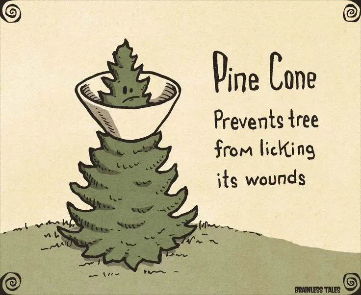 A hand-drawn cartoon depicts a pine tree with a pine cone perched on top of its crown, which has a sad, anthropomorphic…