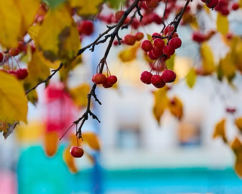 A Vibrant Palette of Colors