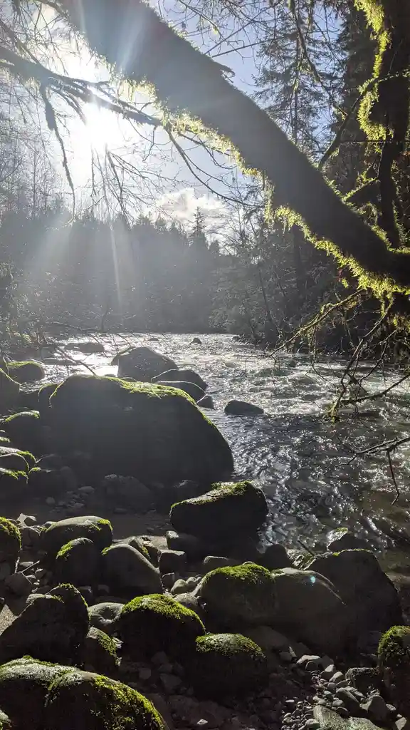 A serene forest stream with moss-covered rocks and sunbeams filtering through bare tree branches, overlaid with the text…
