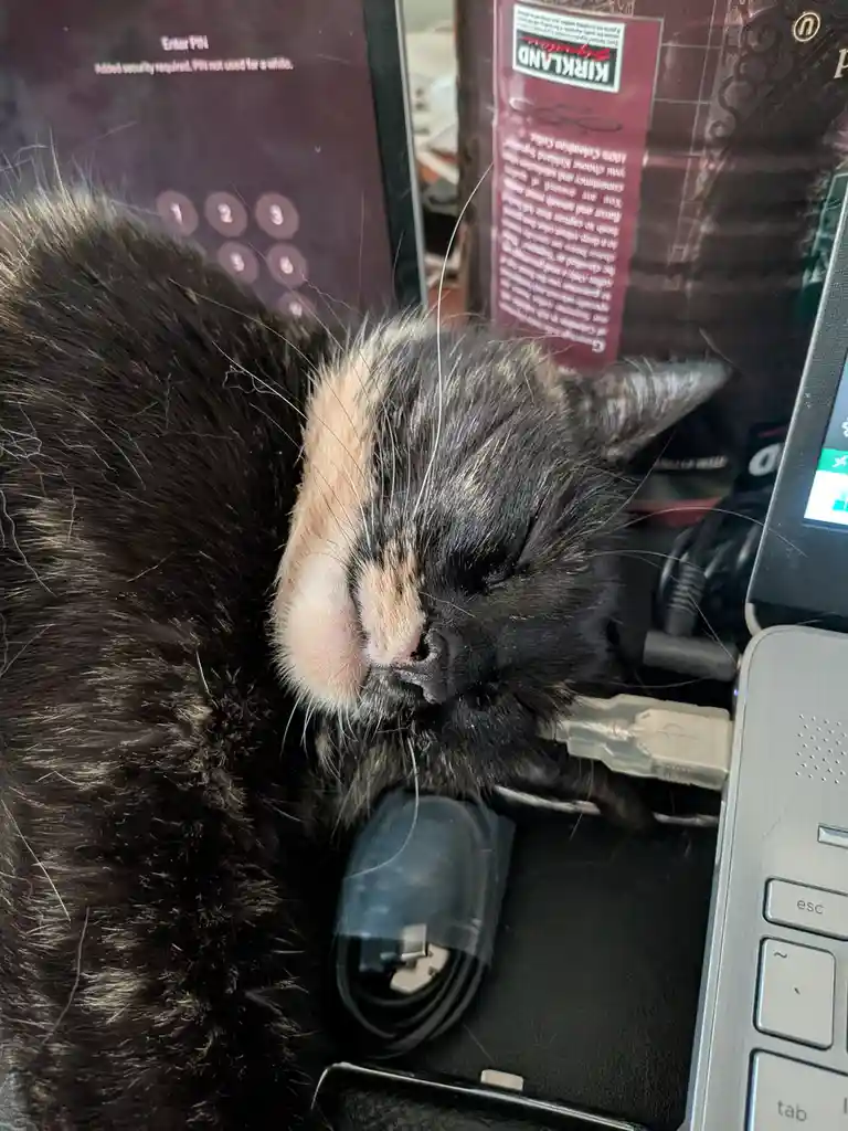 A black and tan cat is sleeping soundly on a desk, its face nestled near a laptop keyboard and a coiled cable. Behind the…