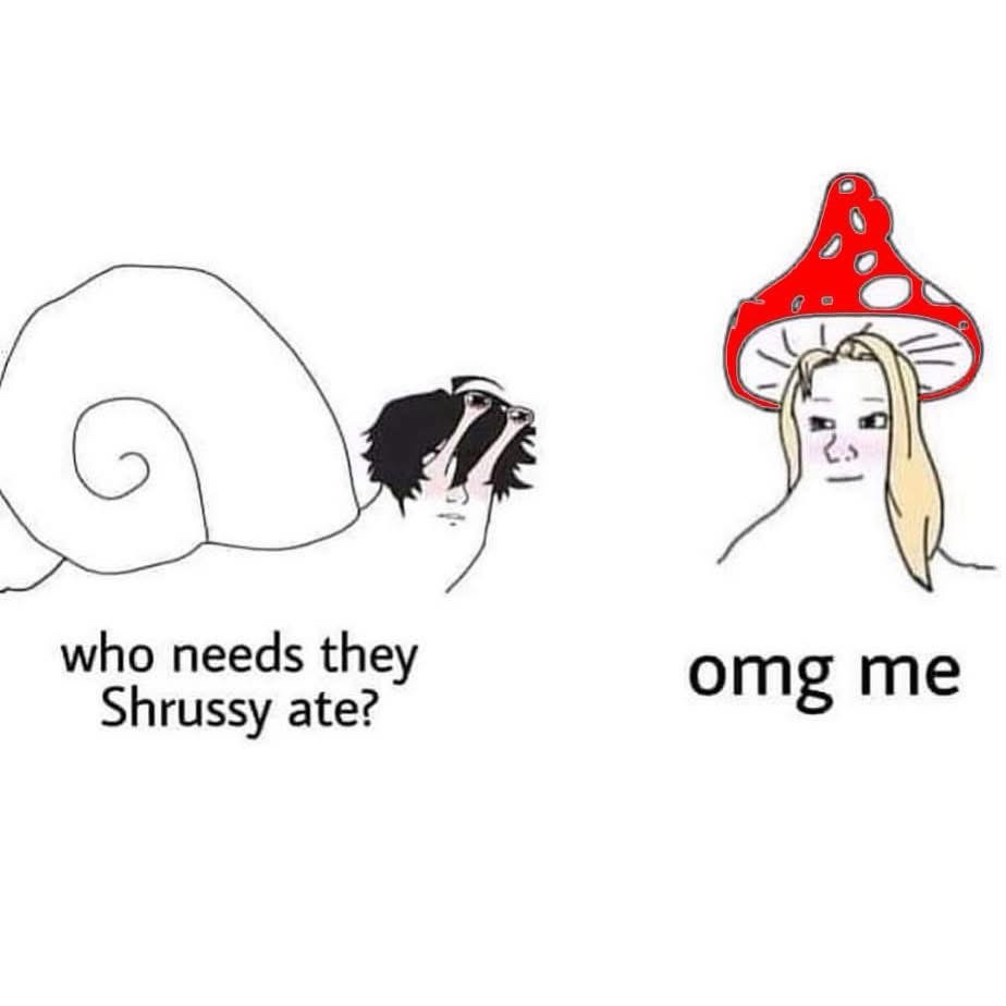 Introducing the Shrussy phenomenon!