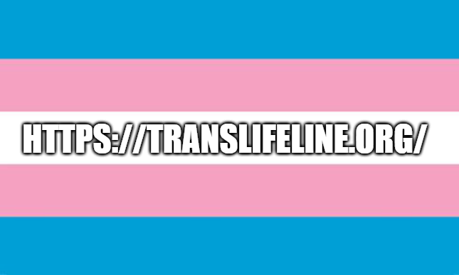 The image displays the trans flag with horizontal stripes of light blue, pink, and white. Centered on the white stripe is…