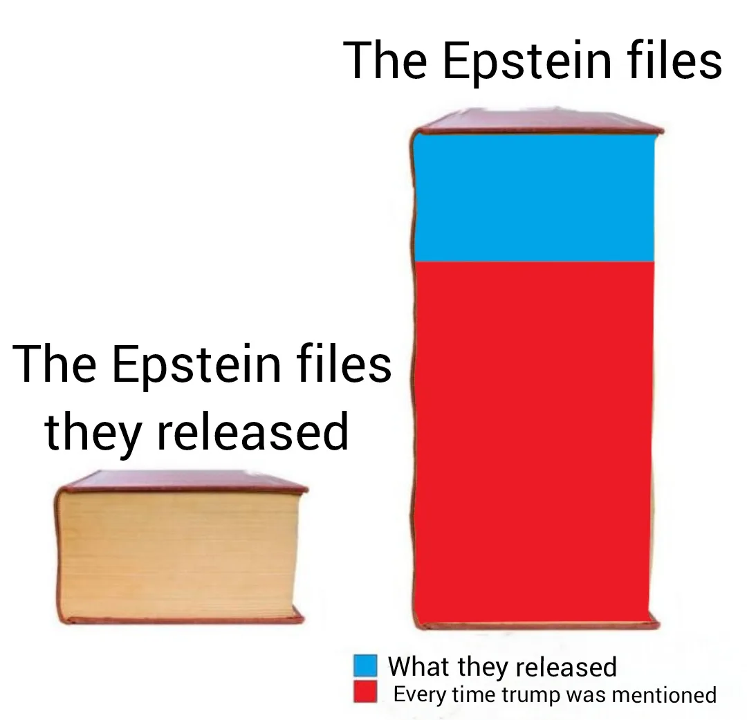 Two books are shown side by side: a small, plain book labeled 'The Epstein files they released' and a much larger book…