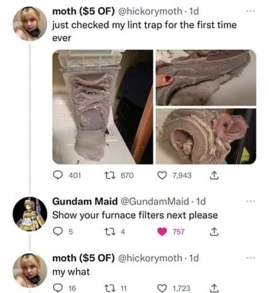 A social media post shows a heavily clogged lint trap filled with thick, fibrous gray lint, with close-up images revealing…