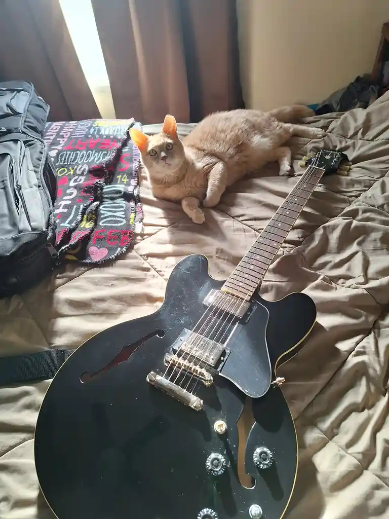 A ginger cat lounges on a bed next to a black electric guitar, looking directly at the camera with a relaxed expression. The…