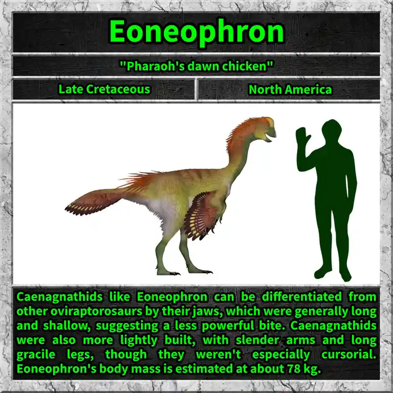 Eoneophron: A Name Worth Remembering!