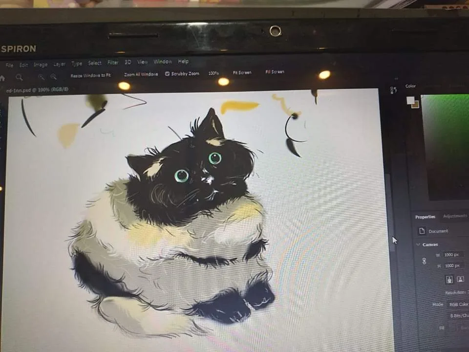 A digital illustration of a fluffy black-and-white cat with large green eyes is displayed on a computer screen running Adobe…