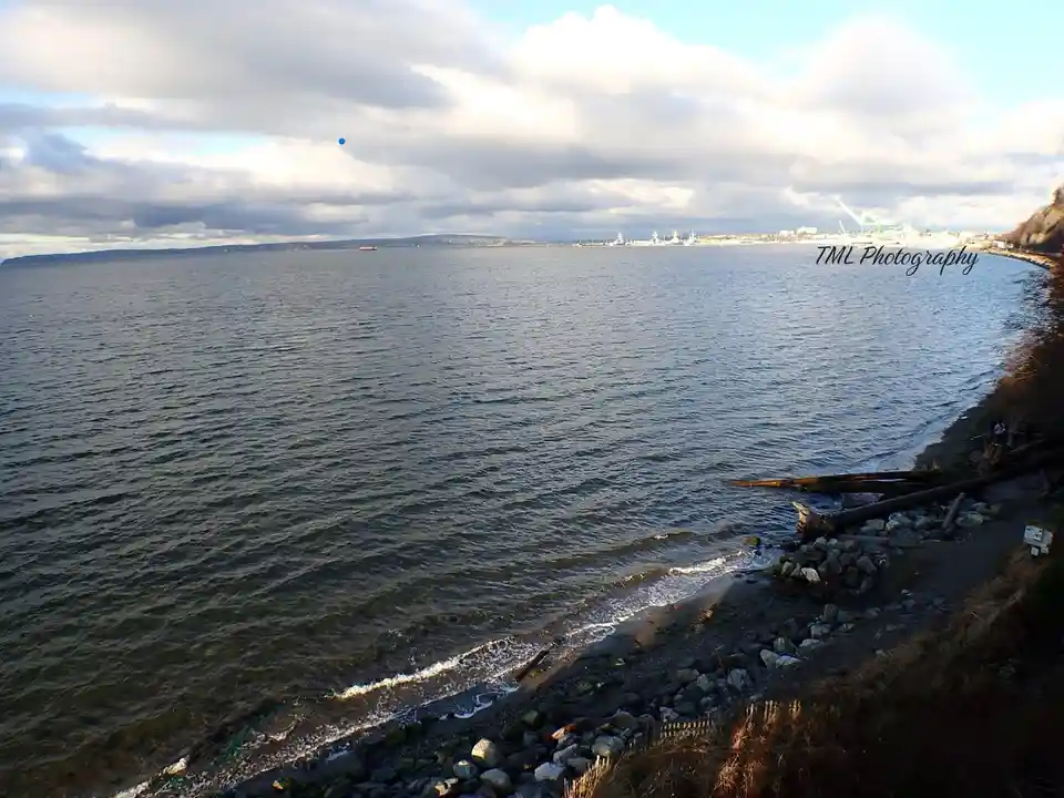 A wide-angle photograph of a calm coastal scene with waves lapping against a rocky shore, distant ships and cranes visible…