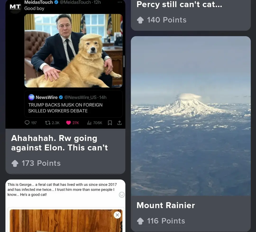 A screenshot of a Reddit-style interface shows a post with a photo of Elon Musk sitting beside a golden retriever with a…