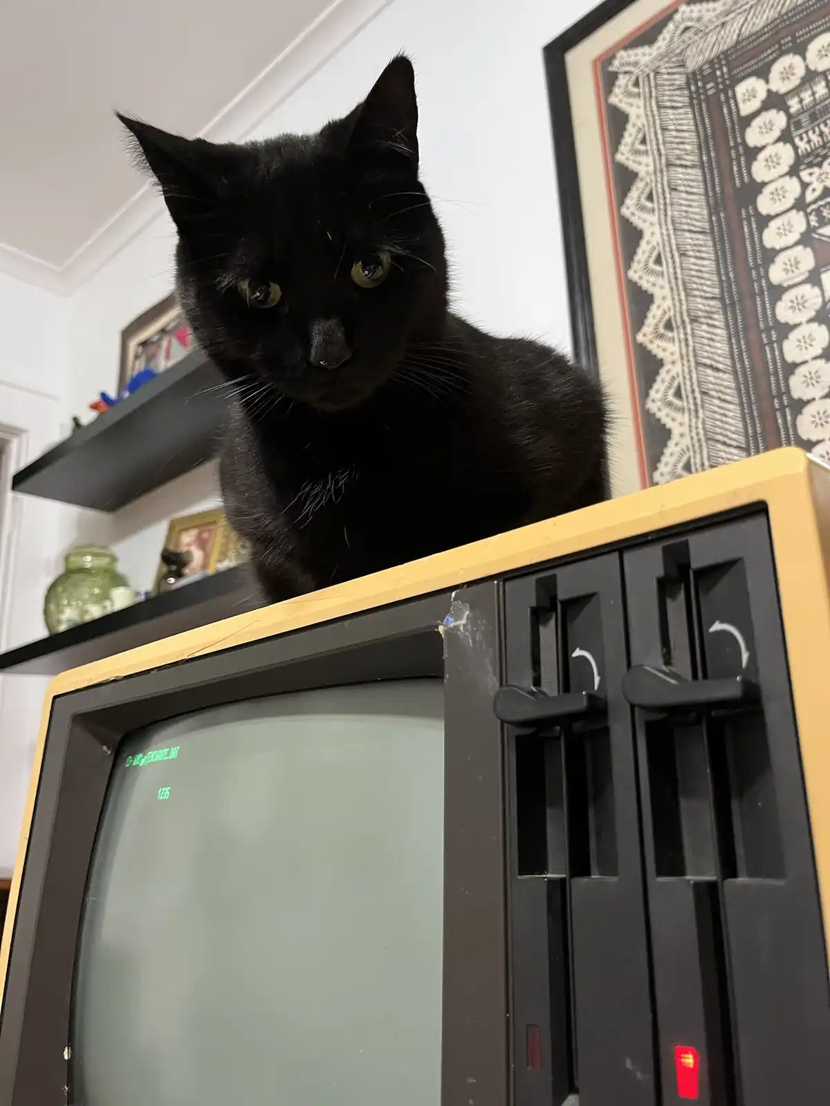 A black cat with yellow eyes sits atop an old, beige CRT television with visible dials and a red power indicator light. The…