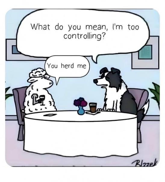 A cartoon depicts a sheep and a border collie sitting across a dining table. The sheep, wearing a small 'L' on its chest…