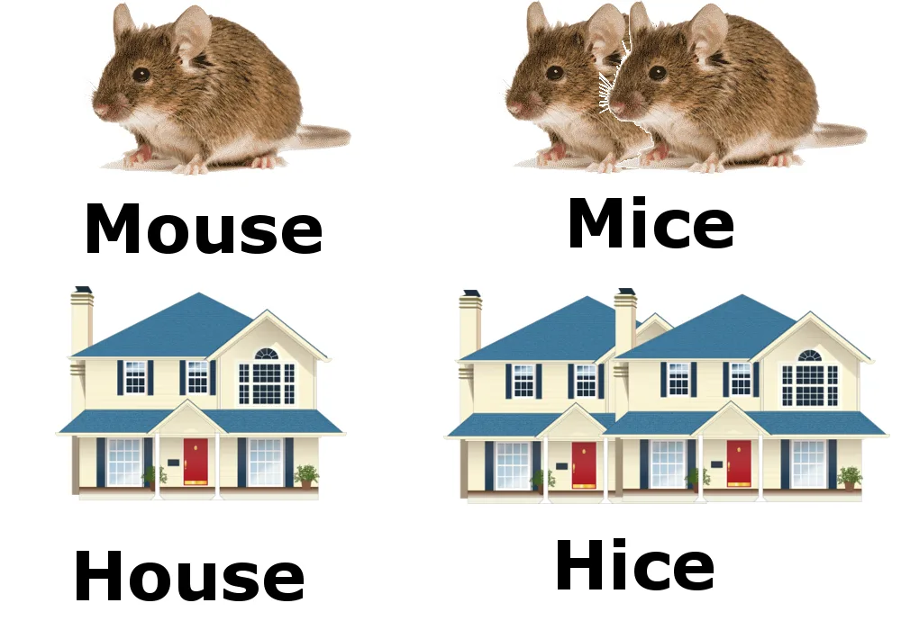 Disagree with me? Get ready for a showdown!