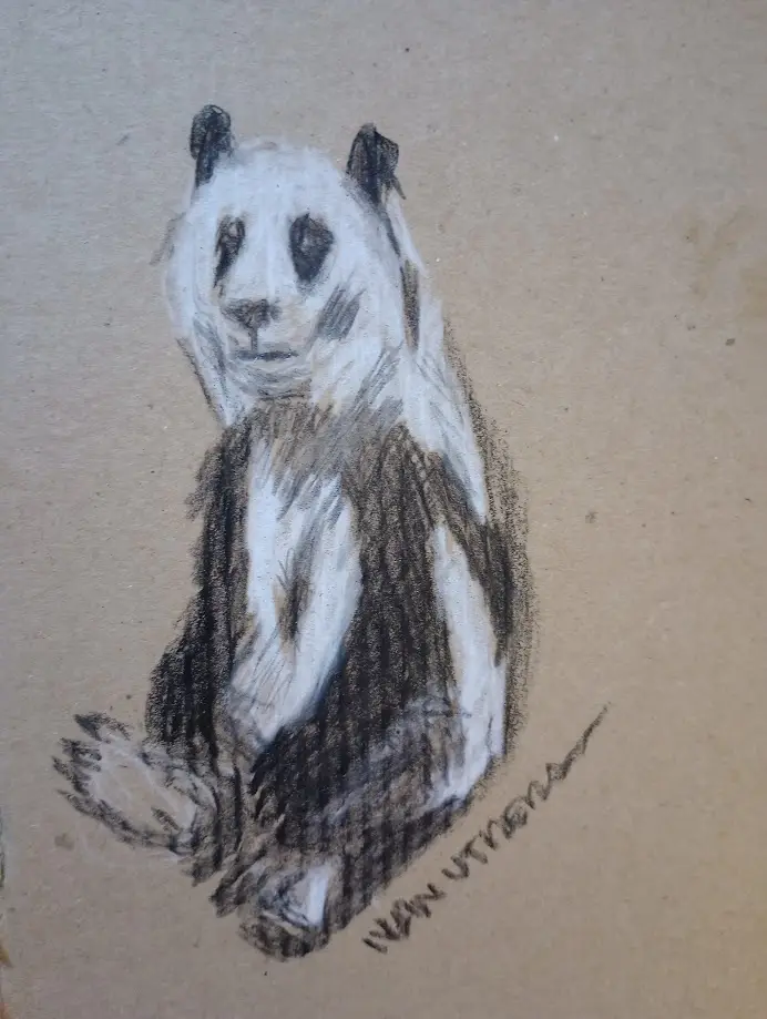 A rough charcoal sketch on brown paper depicts a seated panda with black-and-white markings. The panda's face is turned…