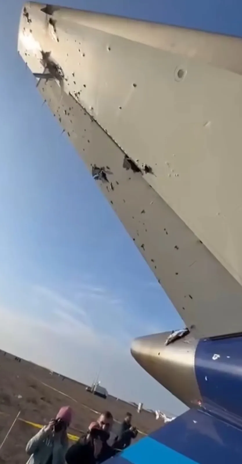 A mischievous bird is responsible for this chaos!
