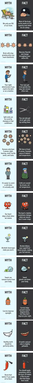 The image is a vertical infographic with 10 side-by-side panels, each comparing a common myth (left, light blue background)…