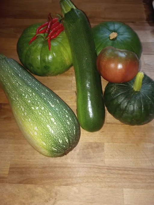 A wooden table displays several vegetables including two zucchinis, two green squash, a red tomato, and red chili peppers…