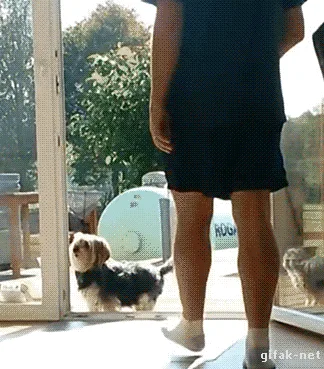 "Allow me to assist you with that."