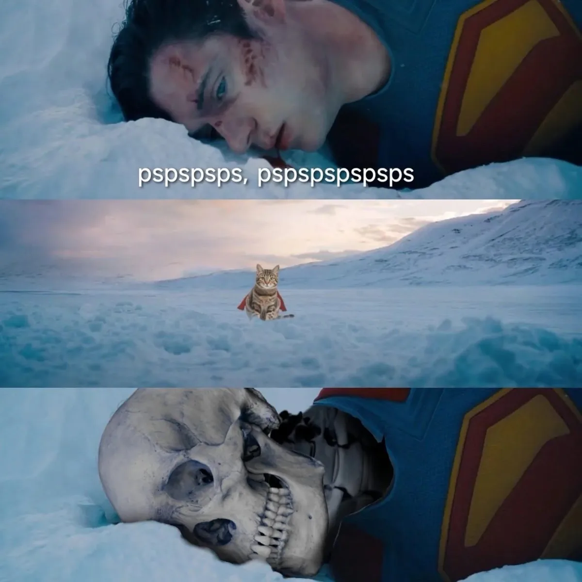 The meme shows three panels: Superman lying injured in snow with text 'pspspsps, pspspspsps'; a cat wearing a tiny Superman…
