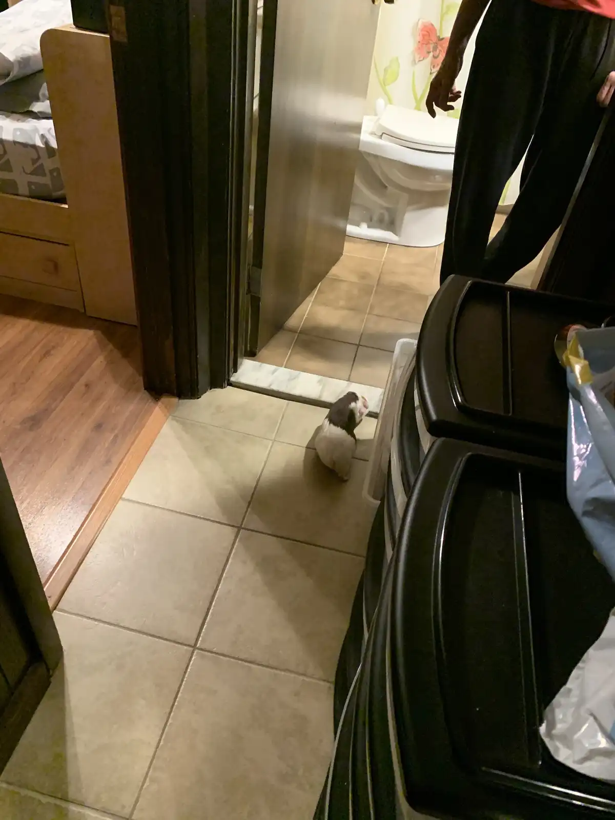 Bambi's Unexpected Bathroom Adventure